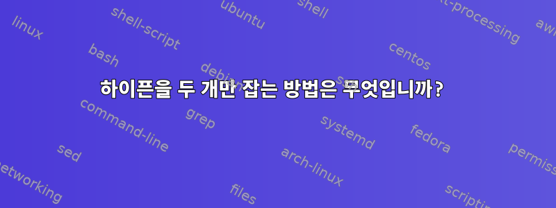 하이픈을 두 개만 잡는 방법은 무엇입니까?