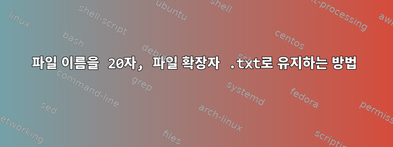 파일 이름을 20자, 파일 확장자 .txt로 유지하는 방법