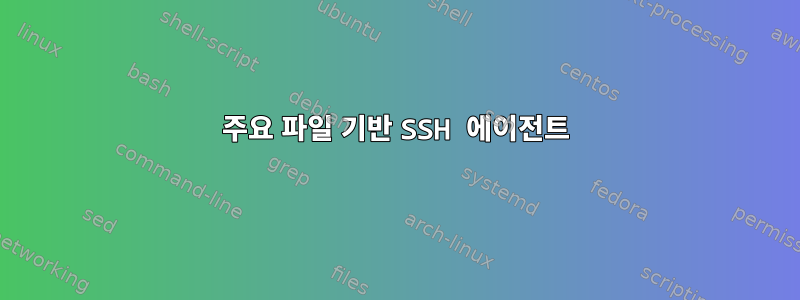 주요 파일 기반 SSH 에이전트