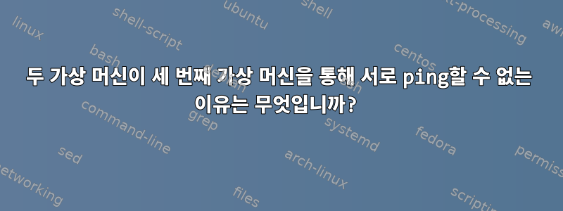 두 가상 머신이 세 번째 가상 머신을 통해 서로 ping할 수 없는 이유는 무엇입니까?