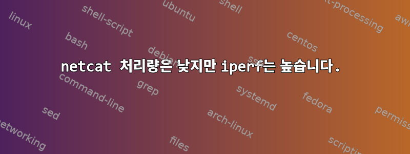 netcat 처리량은 낮지만 iperf는 높습니다.