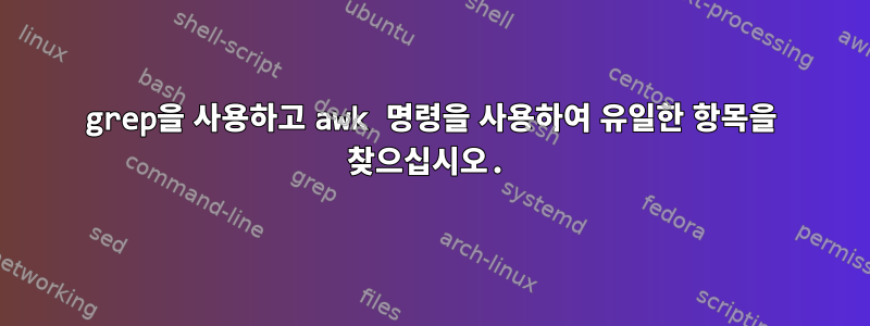 grep을 사용하고 awk 명령을 사용하여 유일한 항목을 찾으십시오.