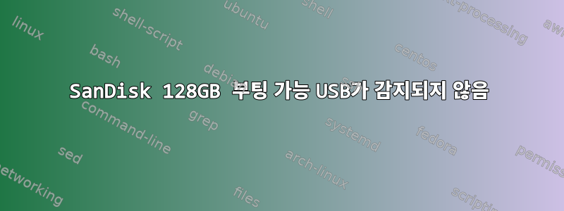 SanDisk 128GB 부팅 가능 USB가 감지되지 않음