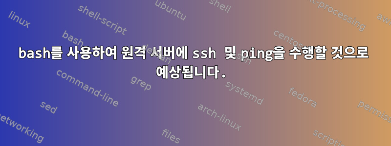 bash를 사용하여 원격 서버에 ssh 및 ping을 수행할 것으로 예상됩니다.