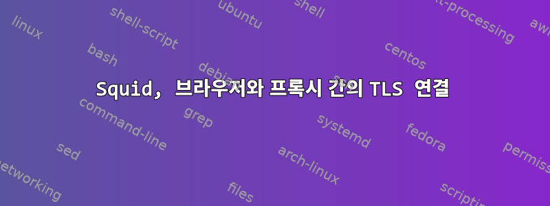 Squid, 브라우저와 프록시 간의 TLS 연결