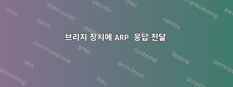 브리지 장치에 ARP 응답 전달