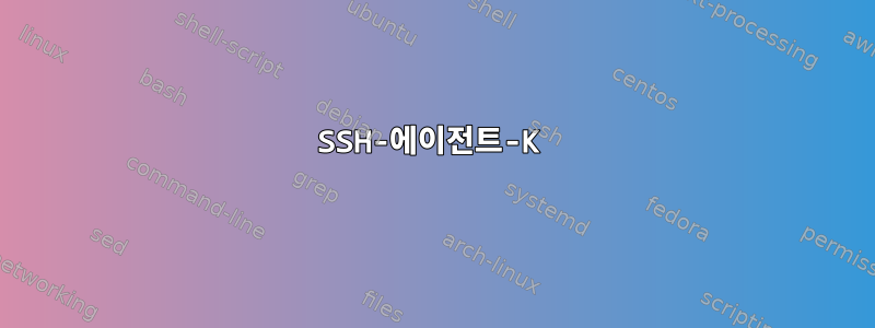 SSH-에이전트-K