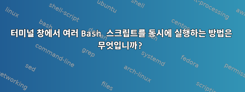 터미널 창에서 여러 Bash 스크립트를 동시에 실행하는 방법은 무엇입니까?