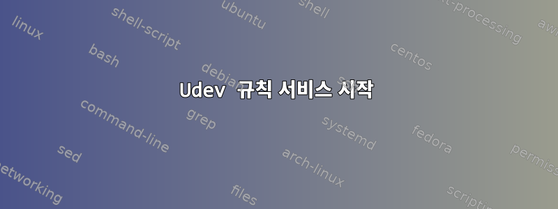 Udev 규칙 서비스 시작