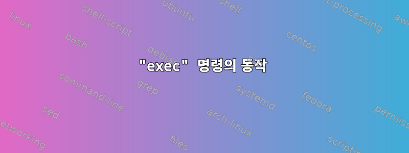 "exec" 명령의 동작