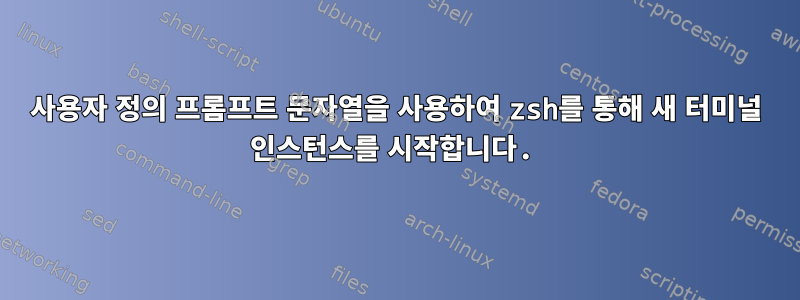 사용자 정의 프롬프트 문자열을 사용하여 zsh를 통해 새 터미널 인스턴스를 시작합니다.