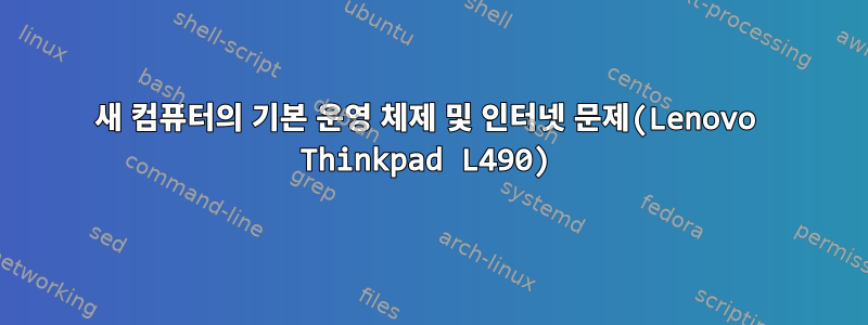 새 컴퓨터의 기본 운영 체제 및 인터넷 문제(Lenovo Thinkpad L490)