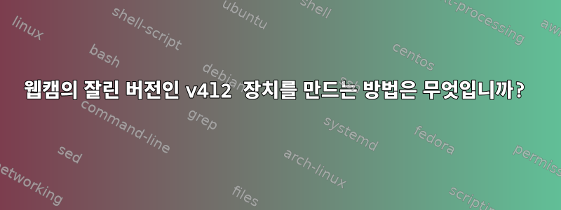 웹캠의 잘린 버전인 v4l2 장치를 만드는 방법은 무엇입니까?