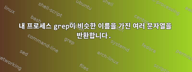 내 프로세스 grep이 비슷한 이름을 가진 여러 문자열을 반환합니다.