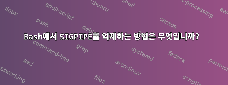 Bash에서 SIGPIPE를 억제하는 방법은 무엇입니까?