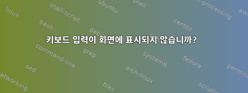 키보드 입력이 화면에 표시되지 않습니까?