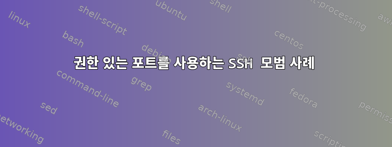 권한 있는 포트를 사용하는 SSH 모범 사례