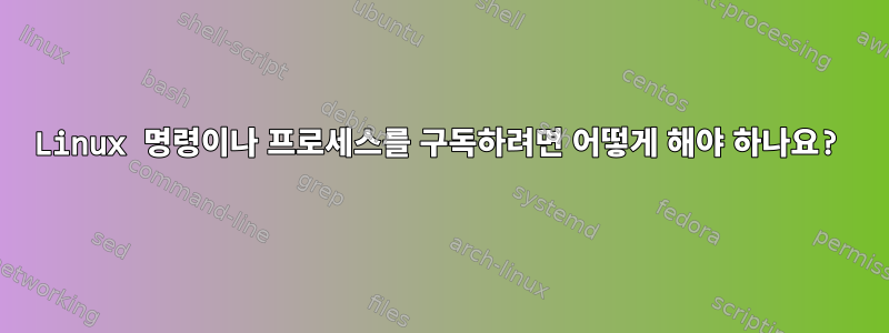 Linux 명령이나 프로세스를 구독하려면 어떻게 해야 하나요?