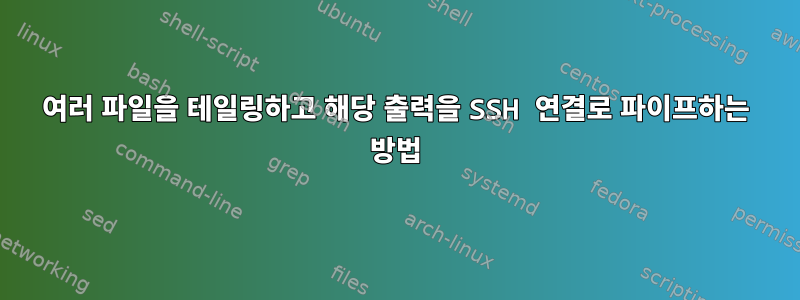 여러 파일을 테일링하고 해당 출력을 SSH 연결로 파이프하는 방법