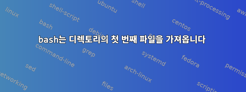 bash는 디렉토리의 첫 번째 파일을 가져옵니다