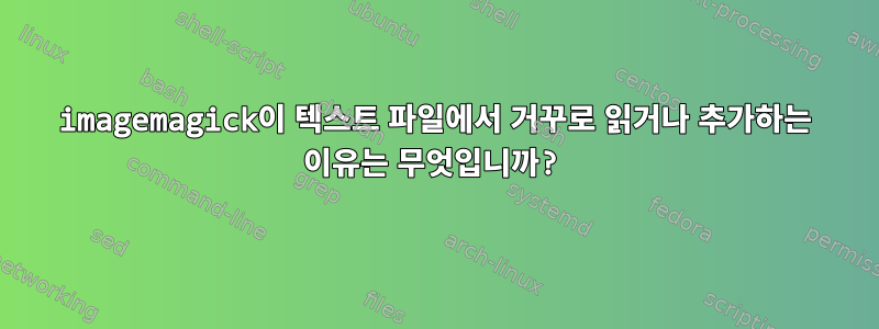 imagemagick이 텍스트 파일에서 거꾸로 읽거나 추가하는 이유는 무엇입니까?