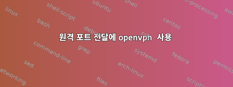 원격 포트 전달에 openvpn 사용