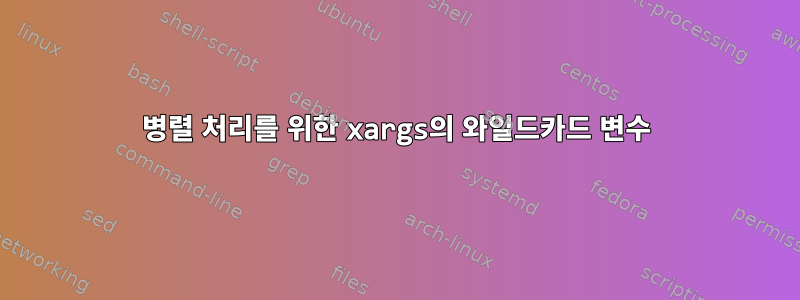 병렬 처리를 위한 xargs의 와일드카드 변수