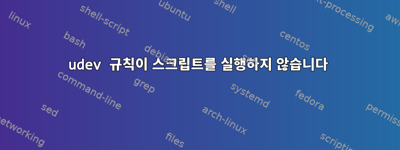 udev 규칙이 스크립트를 실행하지 않습니다