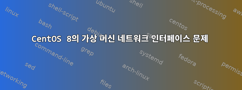 CentOS 8의 가상 머신 네트워크 인터페이스 문제