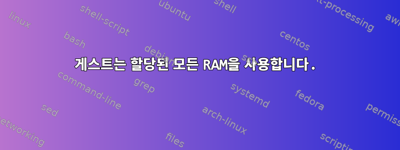 게스트는 할당된 모든 RAM을 사용합니다.