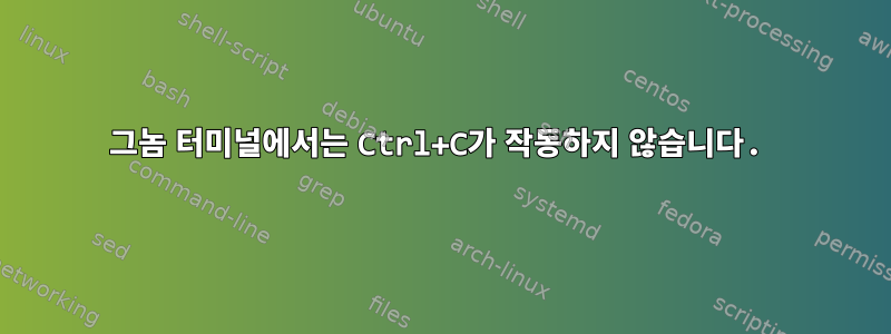 그놈 터미널에서는 Ctrl+C가 작동하지 않습니다.