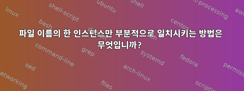 파일 이름의 한 인스턴스만 부분적으로 일치시키는 방법은 무엇입니까?