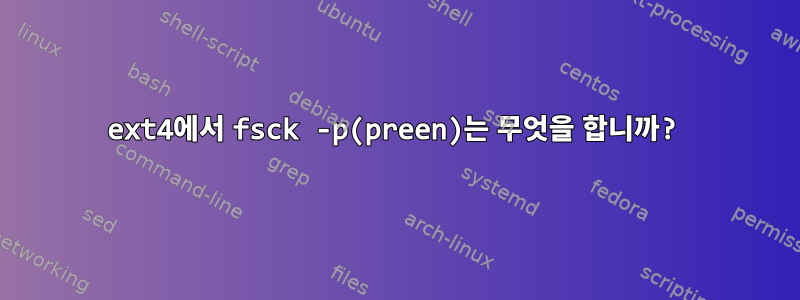 ext4에서 fsck -p(preen)는 무엇을 합니까?