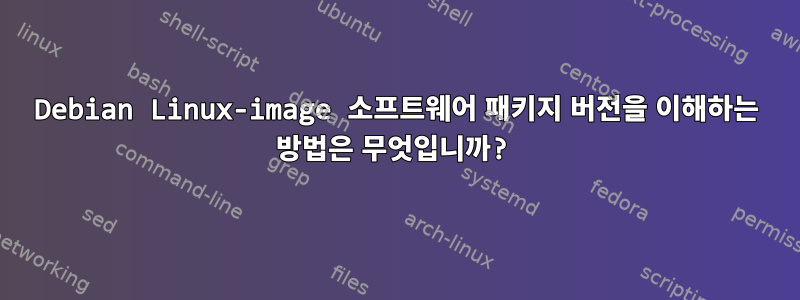 Debian Linux-image 소프트웨어 패키지 버전을 이해하는 방법은 무엇입니까?