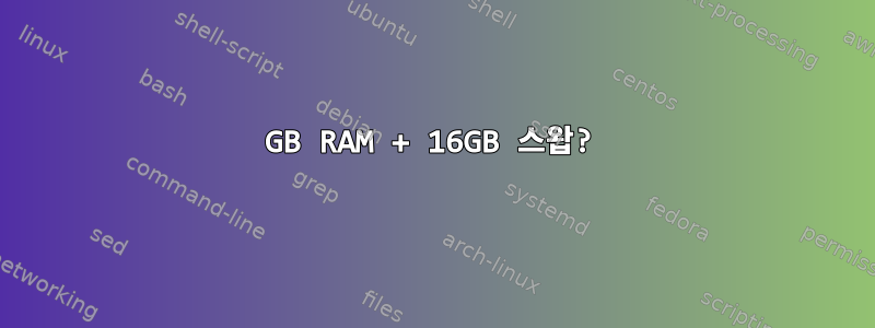 32GB RAM + 16GB 스왑?