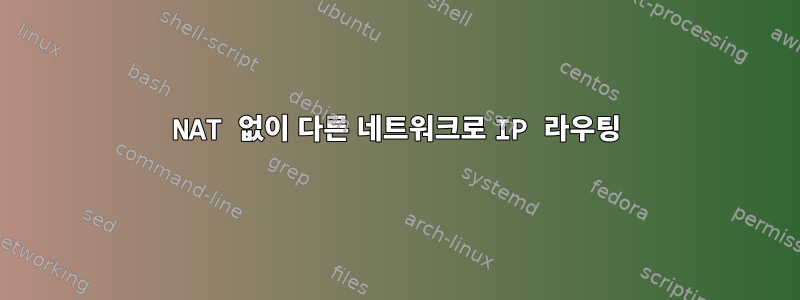 NAT 없이 다른 네트워크로 IP 라우팅