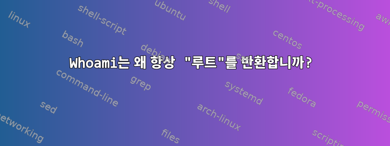 Whoami는 왜 항상 "루트"를 반환합니까?