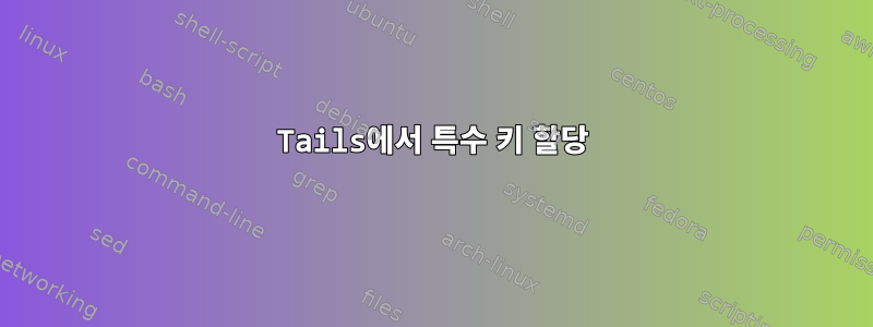 Tails에서 특수 키 할당