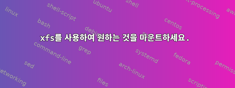 xfs를 사용하여 원하는 것을 마운트하세요.