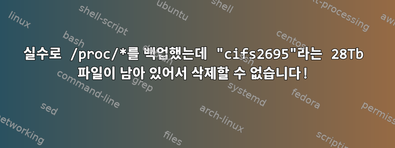 실수로 /proc/*를 백업했는데 "cifs2695"라는 28Tb 파일이 남아 있어서 삭제할 수 없습니다!