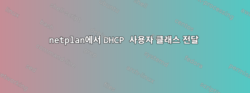 netplan에서 DHCP 사용자 클래스 전달