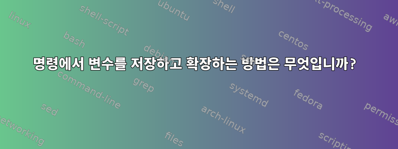 명령에서 변수를 저장하고 확장하는 방법은 무엇입니까?