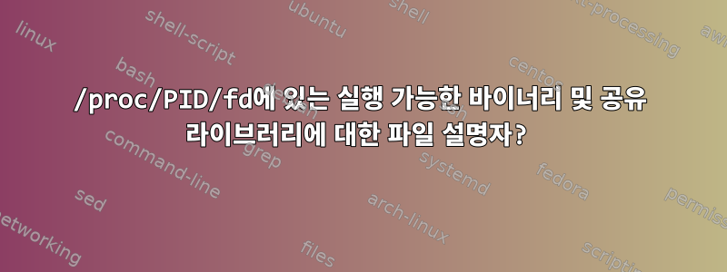 /proc/PID/fd에 있는 실행 가능한 바이너리 및 공유 라이브러리에 대한 파일 설명자?