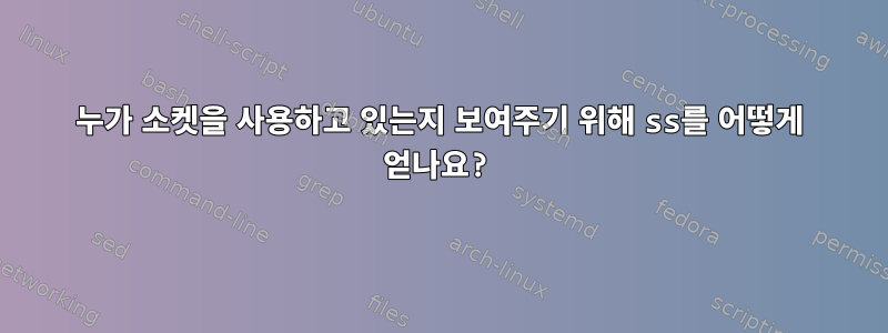 누가 소켓을 사용하고 있는지 보여주기 위해 ss를 어떻게 얻나요?