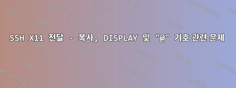 SSH X11 전달 - 복사, DISPLAY 및 "@" 기호 관련 문제