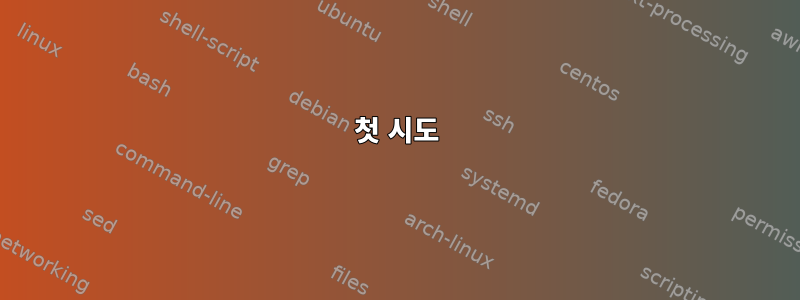 첫 시도