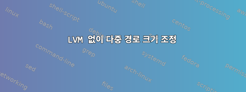 LVM 없이 다중 경로 크기 조정