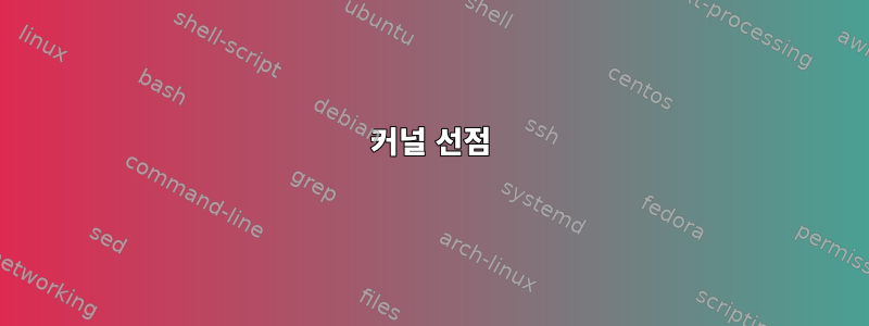 커널 선점