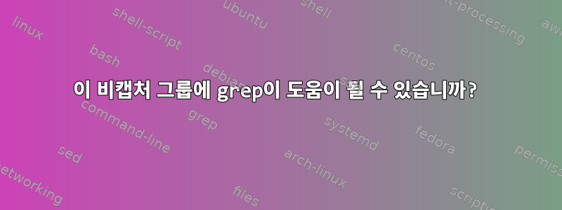 이 비캡처 그룹에 grep이 도움이 될 수 있습니까?