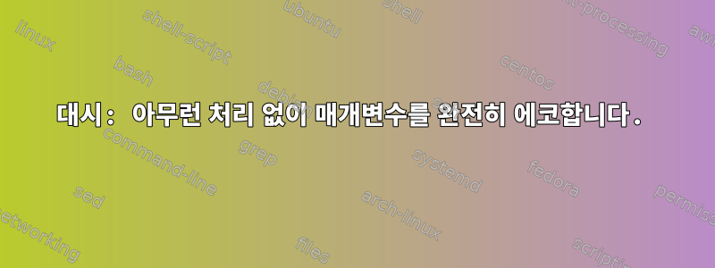 대시: 아무런 처리 없이 매개변수를 완전히 에코합니다.